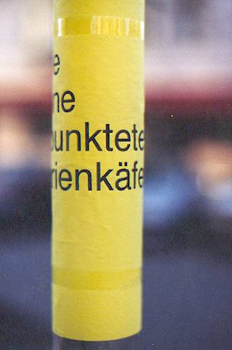 eins